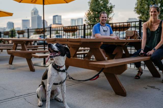 Metazoa Brewing is known as a welcoming location for dog lovers