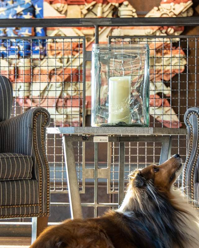 The Ironworks Hotel on Indy's northside rolls out the red carpet for pets