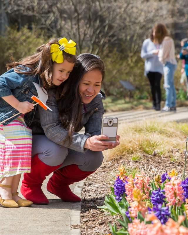 Spring blooms across the immersive Newfields art campus.